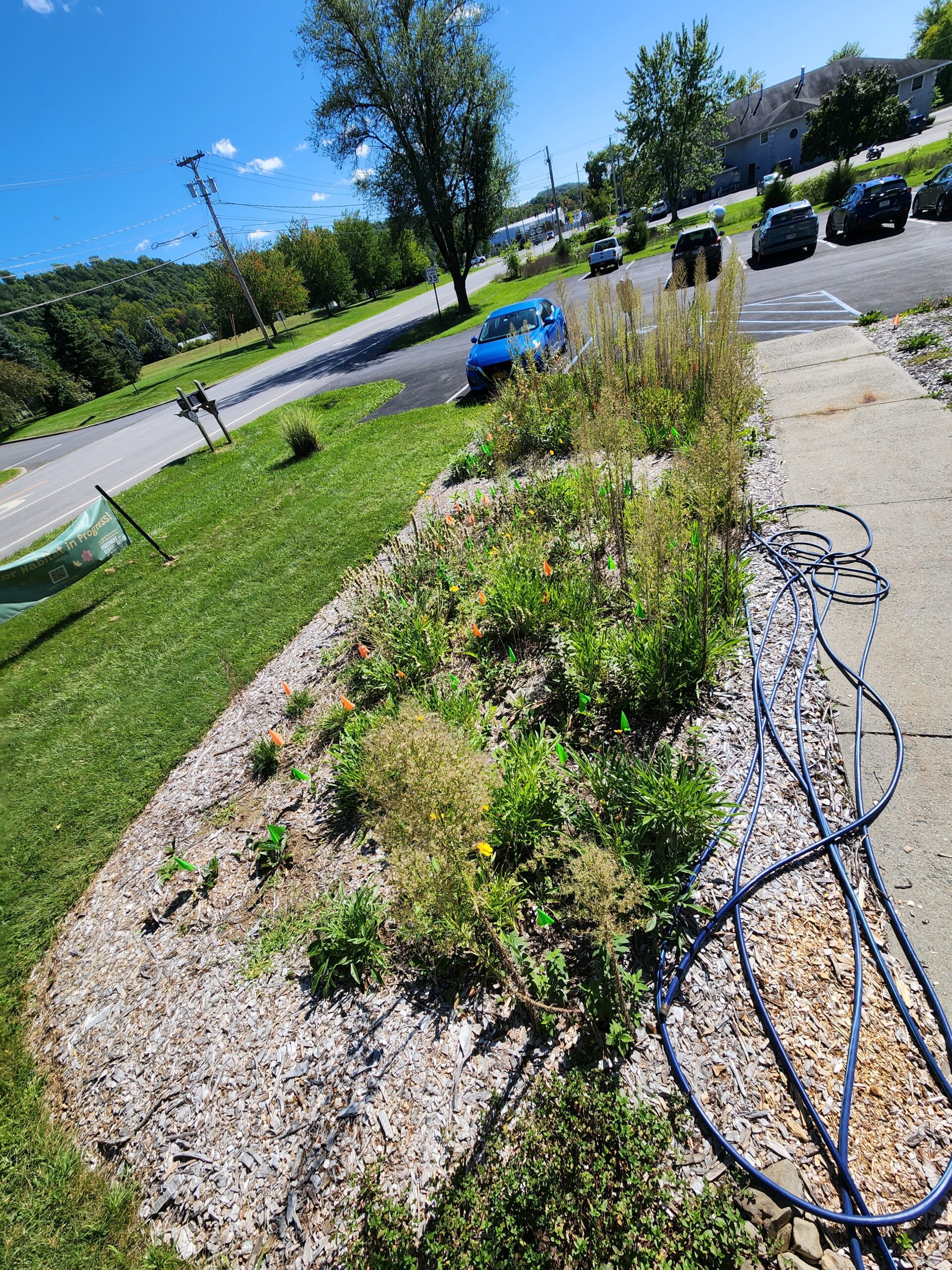 Meadow East, after