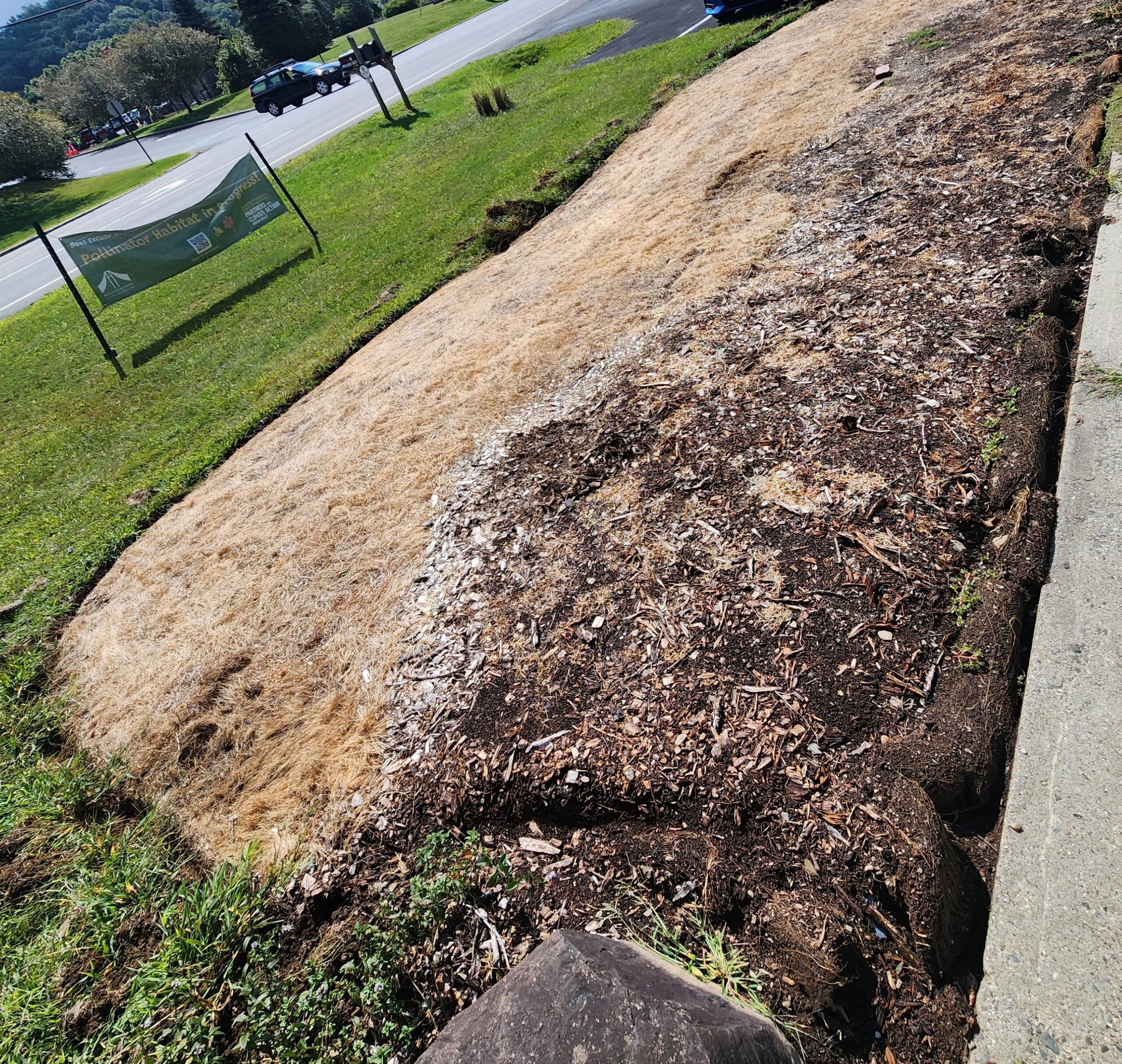 Meadow East, before