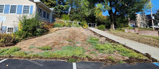 Meadow West, before